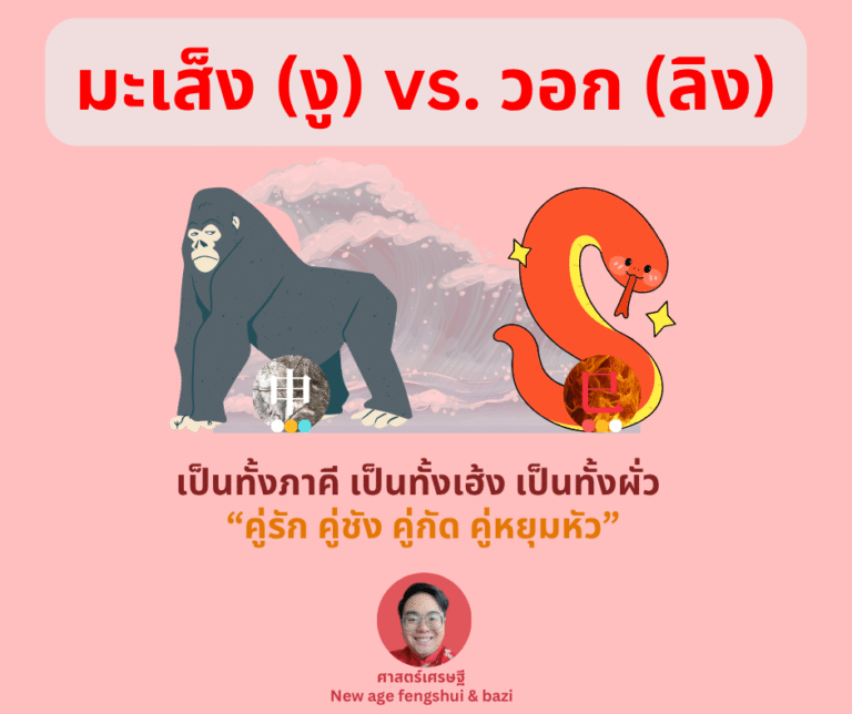วอก มะเส็ง 1